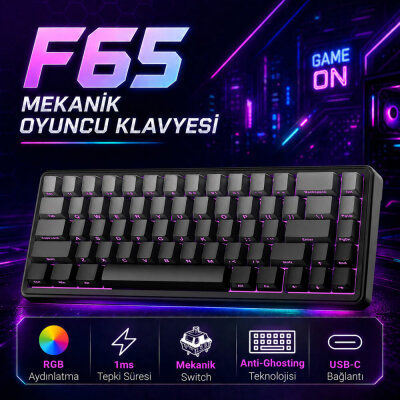 Aula F65 GrayWood V3 Switch Mekanik RGB TKL Makrolu Hot Swap Kablosuz Klavye Gri - 2