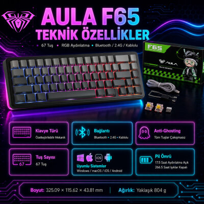 Aula F65 GrayWood V3 Switch Mekanik RGB TKL Makrolu Hot Swap Kablosuz Klavye Gri - 7