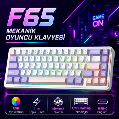 Aula F65 Nimbus V3 Switch Mekanik RGB TKL Makrolu Hot Swap Kablosuz Klavye Pastel - 2