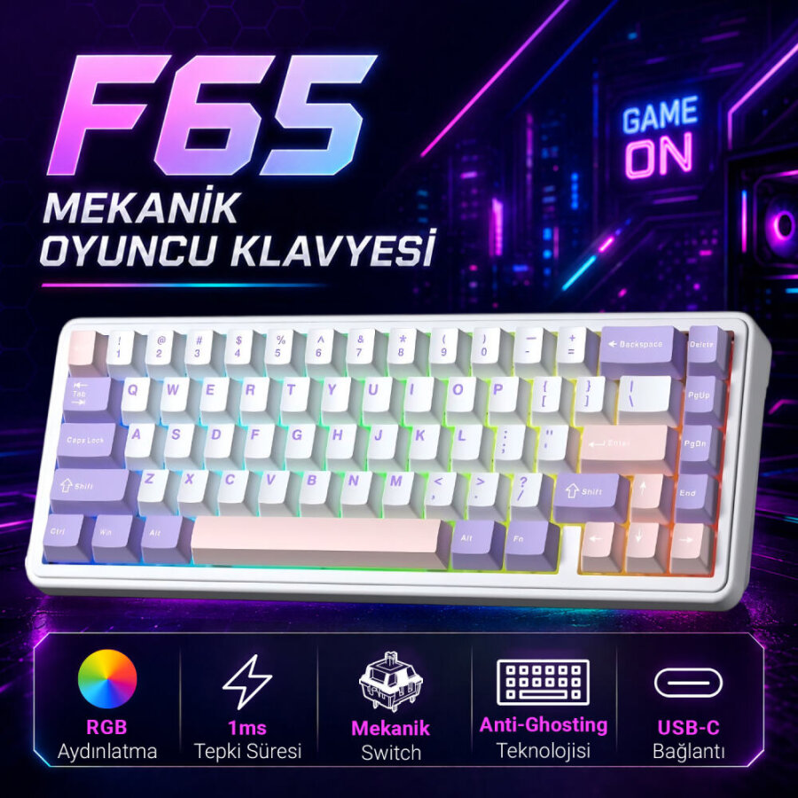 Aula F65 Nimbus V3 Switch Mekanik RGB TKL Makrolu Hot Swap Kablosuz Klavye Pastel - 2