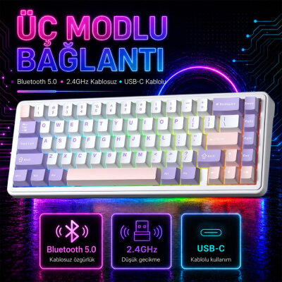 Aula F65 Nimbus V3 Switch Mekanik RGB TKL Makrolu Hot Swap Kablosuz Klavye Pastel - 4