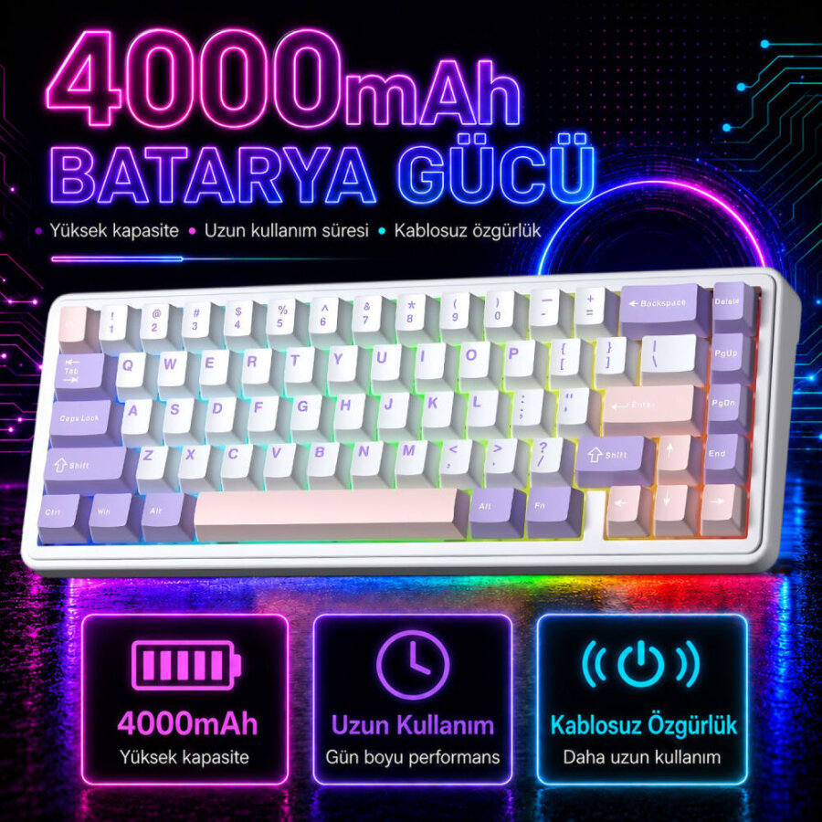 Aula F65 Nimbus V3 Switch Mekanik RGB TKL Makrolu Hot Swap Kablosuz Klavye Pastel - 5