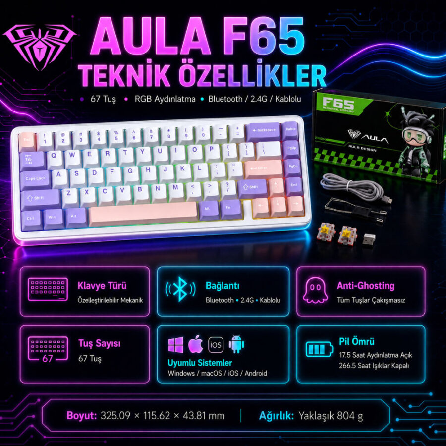 Aula F65 Nimbus V3 Switch Mekanik RGB TKL Makrolu Hot Swap Kablosuz Klavye Pastel - 7