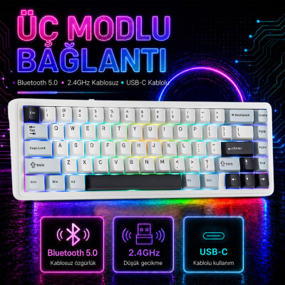 Aula F65 Reaper Switch Mekanik RGB TKL Makrolu Hot Swap Kablosuz Klavye Buz Mavisi - 4