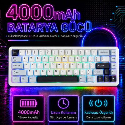 Aula F65 Reaper Switch Mekanik RGB TKL Makrolu Hot Swap Kablosuz Klavye Buz Mavisi - 5