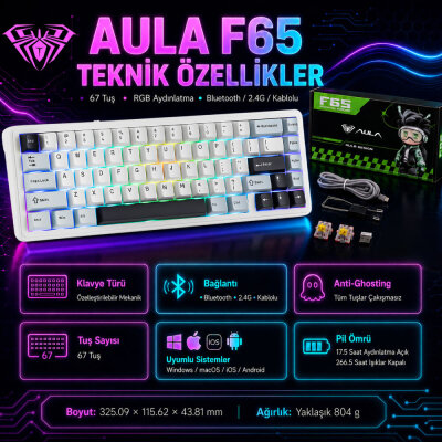 Aula F65 Reaper Switch Mekanik RGB TKL Makrolu Hot Swap Kablosuz Klavye Buz Mavisi - 7