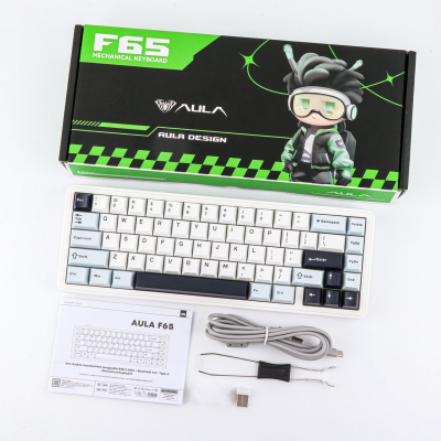 Aula F65 Reaper Switch Mekanik RGB TKL Makrolu Hot Swap Kablosuz Klavye Buz Mavisi - 6