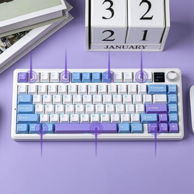 Aula F75 Max Mekanik Kablosuz ve Kablolu Gaming Oyuncu Klavyesi RGB TKL Reaper Switch Hot Swap Makrolu Mor - 6