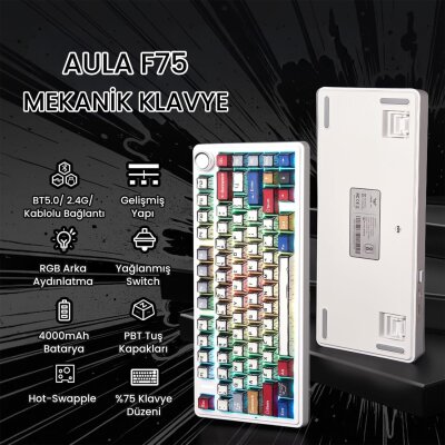 Aula F75 Mekanik Kablosuz Oyuncu Klavyesi RGB TKL Reaper Switch Hot Swap Makrolu Comic Karikatür Tasarım Siyah - 2