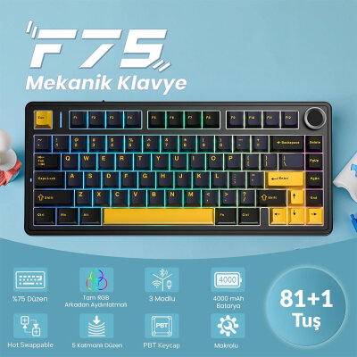 Aula F75 Mekanik RGB Klavye TKL Crescent Switch Tri Mode Kablosuz Makrolu Hot Swap Gaming Oyuncu Klavyesi Siyah - 2