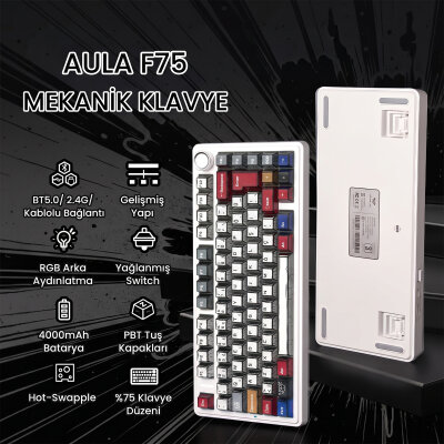 Aula F75 Mekanik RGB TKL GrayWood V4 Switch Kablosuz Makrolu Hot Swap Türkçe Q Klavye Comic - 2