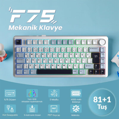 Aula F75 Mekanik RGB TKL GrayWood V4 Switch Kablosuz Makrolu Hot Swap Türkçe Q Klavye Lacivert - 2