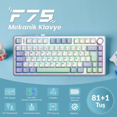 Aula F75 Mekanik RGB TKL Hot Swap GrayWood V4 Switch Kablosuz Makrolu Türkçe Q Klavye Pastel - 2