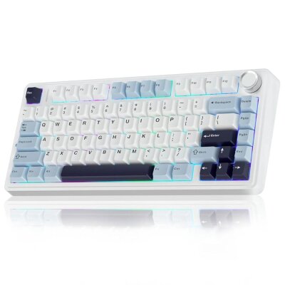 Aula F75 Mekanik RGB TKL Ice Vein Switch Kablosuz Makrolu Hot Swap Klavye Lacivert - 4