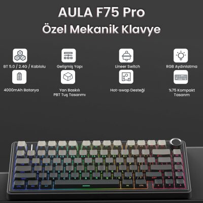 Aula F75 Mekanik RGB TKL Reaper Switch Kablosuz Makrolu Hot Swap Gaming Klavye Gradyan Gri - 2