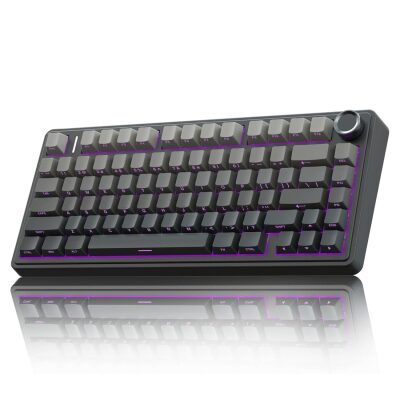 Aula F75 Mekanik RGB TKL Reaper Switch Kablosuz Makrolu Hot Swap Gaming Klavye Gradyan Gri