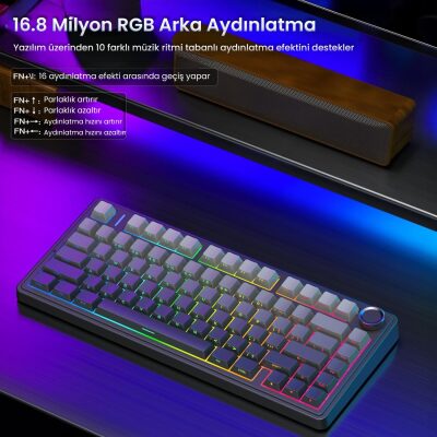 Aula F75 Mekanik RGB TKL Reaper Switch Kablosuz Makrolu Hot Swap Gaming Klavye Gradyan Gri - 5