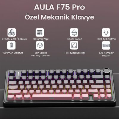 Aula F75 Mekanik RGB TKL Reaper Switch Kablosuz Makrolu Hot Swap Gaming Klavye Gradyan Pembe - 2