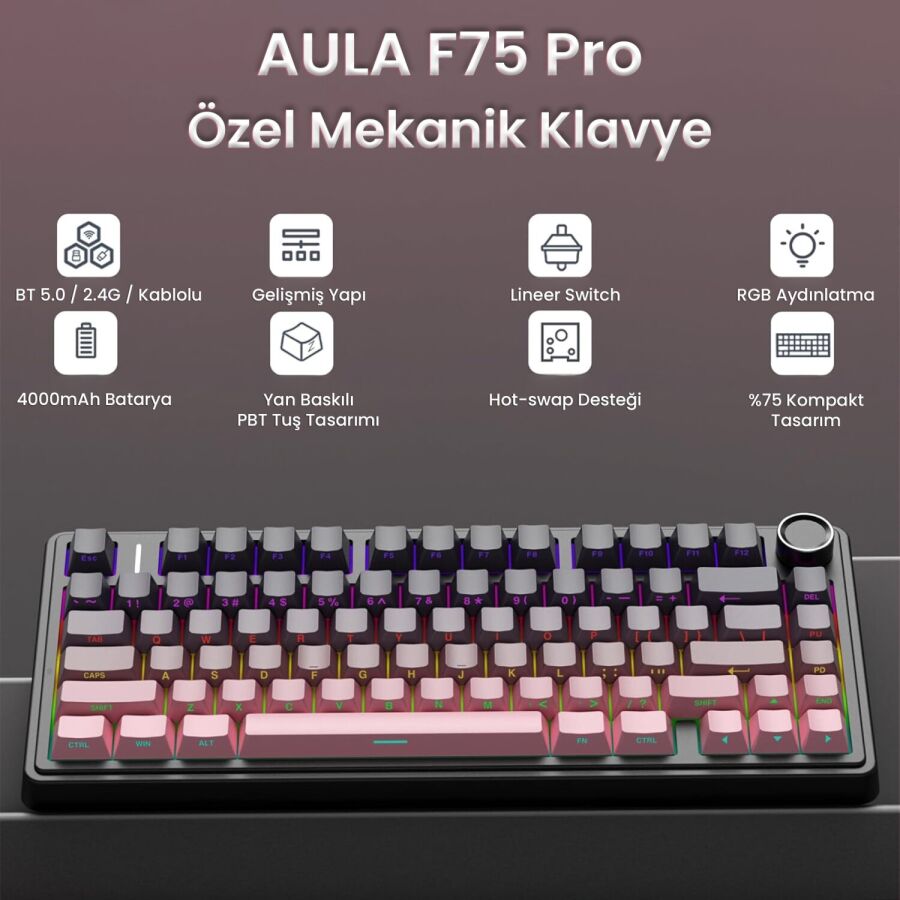 Aula F75 Mekanik RGB TKL Reaper Switch Kablosuz Makrolu Hot Swap Gaming Klavye Gradyan Pembe - 2
