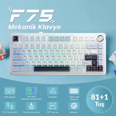 Aula F75 Mekanik RGB TKL Reaper Switch Kablosuz Makrolu Hot Swap Klavye Lacivert - 3