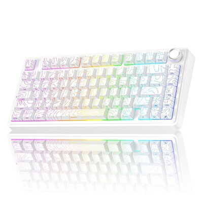 Aula F75 Mekanik RGB TKL Seiya Switch Kablosuz Makrolu Hot Swap Gaming Klavye Desenli Beyaz 