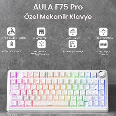 Aula F75 Mekanik RGB TKL Seiya Switch Kablosuz Makrolu Hot Swap Gaming Klavye Desenli Beyaz - 2