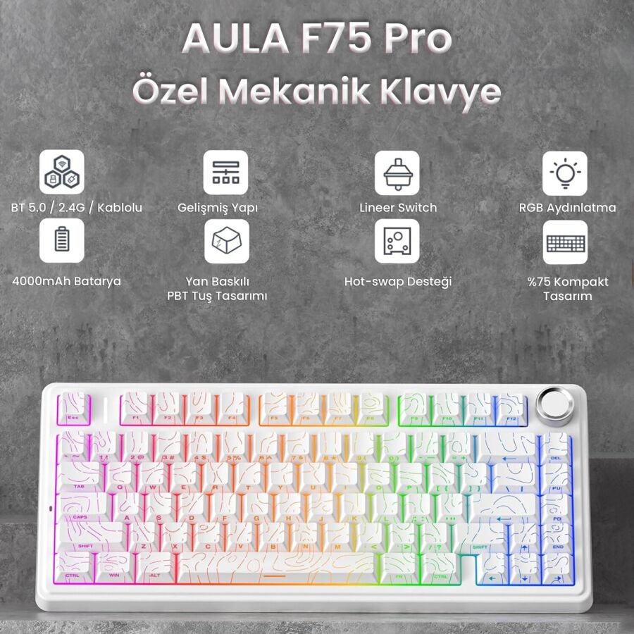 Aula F75 Mekanik RGB TKL Seiya Switch Kablosuz Makrolu Hot Swap Gaming Klavye Desenli Beyaz - 2