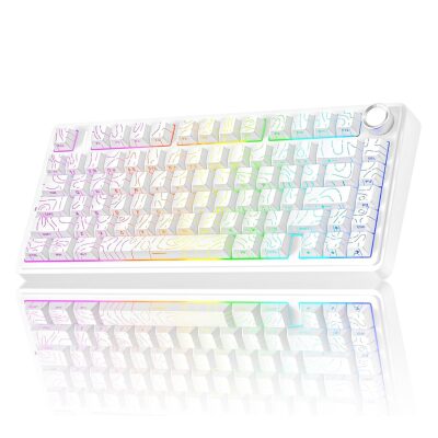 Aula F75 Mekanik RGB TKL Seiya Switch Kablosuz Makrolu Hot Swap Gaming Klavye Desenli Beyaz