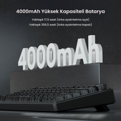 Aula F75 Mekanik RGB TKL Seiya Switch Kablosuz Makrolu Hot Swap Gaming Klavye Desenli Siyah - 7