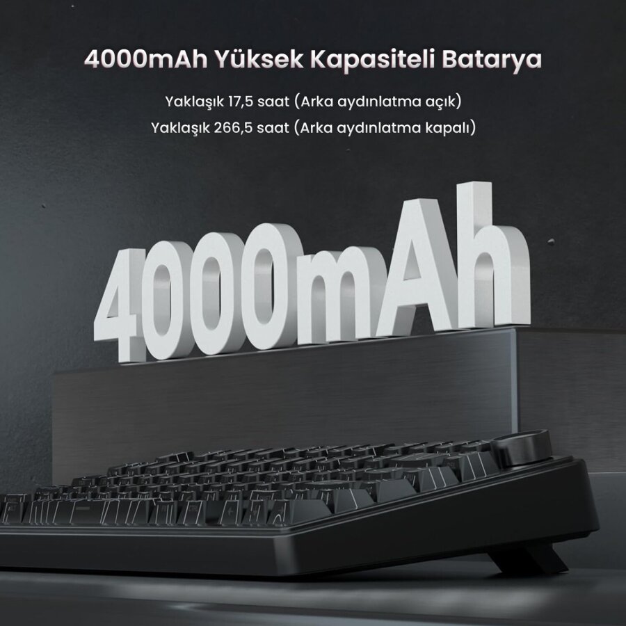 Aula F75 Mekanik RGB TKL Seiya Switch Kablosuz Makrolu Hot Swap Gaming Klavye Desenli Siyah - 7
