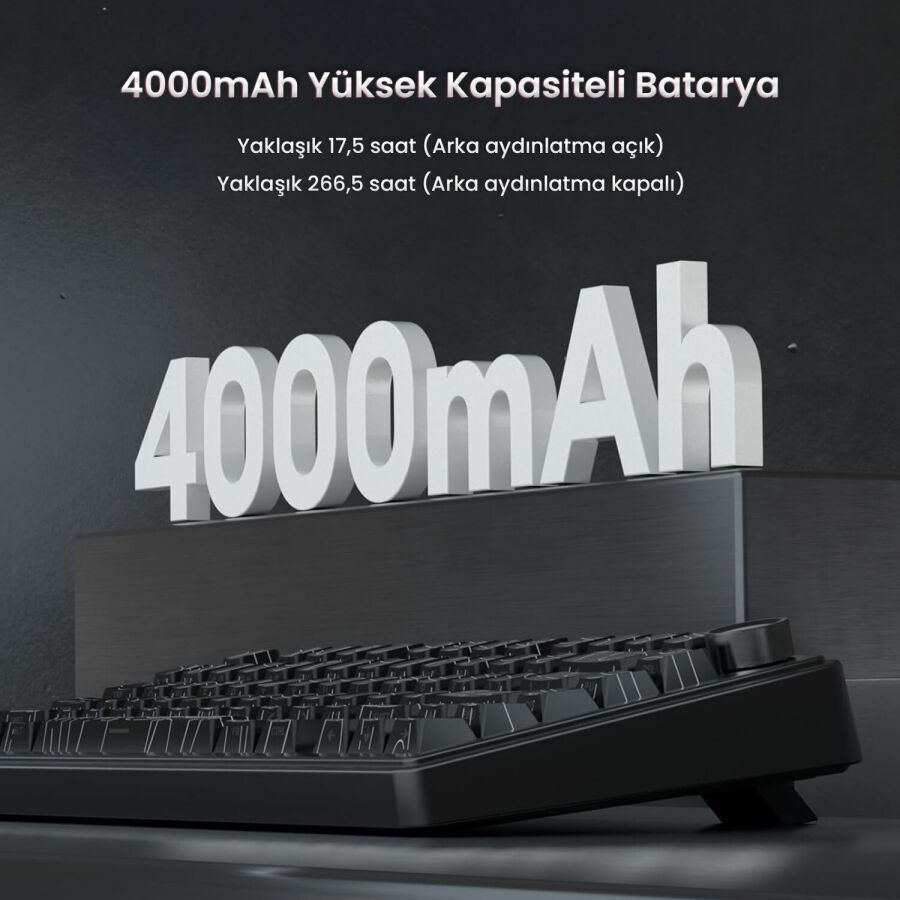 Aula F75 Mekanik RGB TKL Seiya Switch Kablosuz Makrolu Hot Swap Gaming Klavye Desenli Siyah - 7