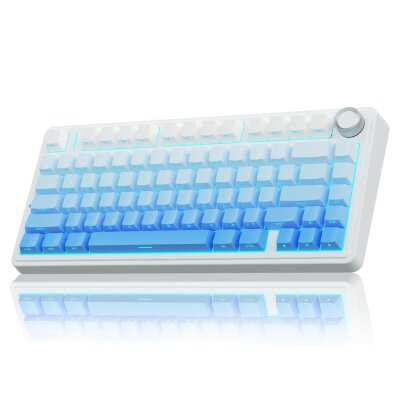 Aula F75 Mekanik RGB TKL Seiya Switch Kablosuz Makrolu Hot Swap Gaming Klavye Gradyan Mavi 