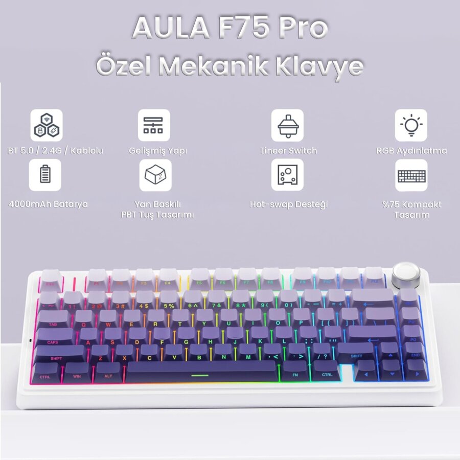 Aula F75 Mekanik RGB TKL Seiya Switch Kablosuz Makrolu Hot Swap Gaming Klavye Gradyan Mor - 2