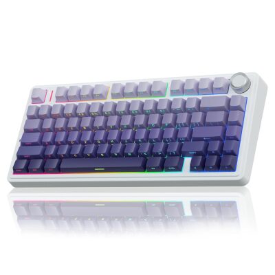 Aula F75 Mekanik RGB TKL Seiya Switch Kablosuz Makrolu Hot Swap Gaming Klavye Gradyan Mor 