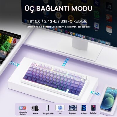 Aula F75 Mekanik RGB TKL Seiya Switch Kablosuz Makrolu Hot Swap Gaming Klavye Gradyan Mor - 3