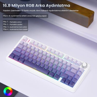 Aula F75 Mekanik RGB TKL Seiya Switch Kablosuz Makrolu Hot Swap Gaming Klavye Gradyan Mor - 5
