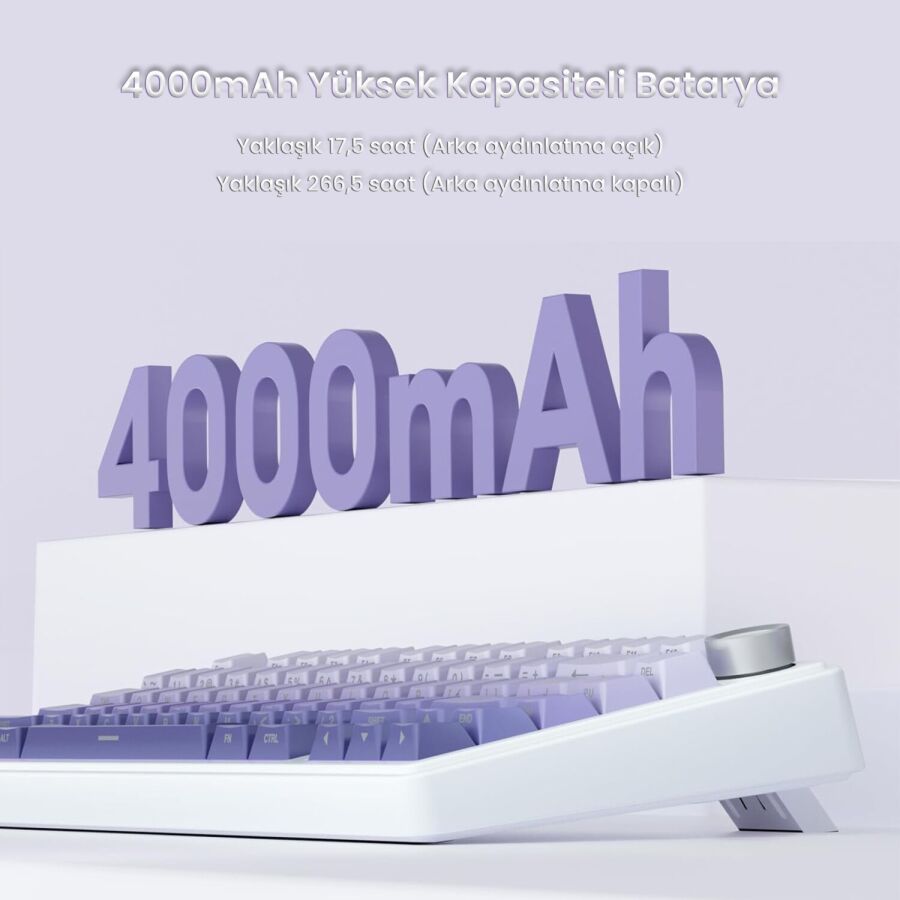 Aula F75 Mekanik RGB TKL Seiya Switch Kablosuz Makrolu Hot Swap Gaming Klavye Gradyan Mor - 7