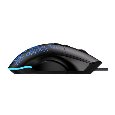 Aula F812 7200DPI RGB 7 Tuşlu Makro Optik Gaming Oyuncu Mouse - 4