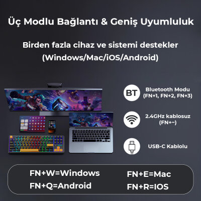 Aula F87 Mekanik RGB TKL GrayWood V3 Switch Kablosuz Makrolu Hot Swap Klavye Siyah - 5