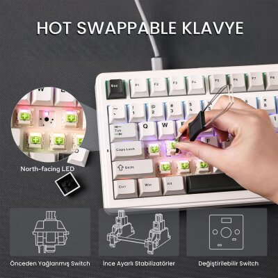 Aula F99 3 Modlu RGB Hot Swap Mekanik Reaper Switch Kablosuz Makrolu Gaming Klavye Gri - 3