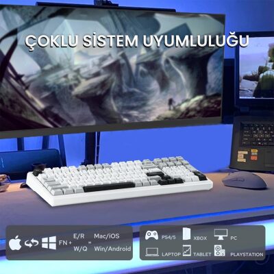 Aula F99 3 Modlu RGB Hot Swap Mekanik Reaper Switch Kablosuz Makrolu Gaming Klavye Gri - 7