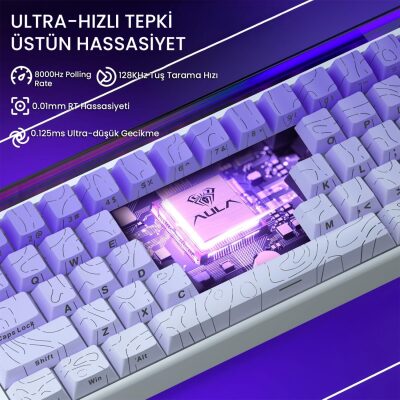 Aula Hero 68 HE Manyetik Klavye Rapid Trigger Dragon King Switch 8000Hz RGB Neon TKL Hot Swap Oyuncu Klavyesi Mor - 5