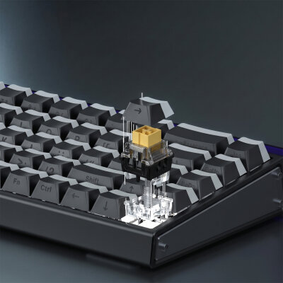 Aula Leobog Black King Manyetik Switch 20 Adet - 6