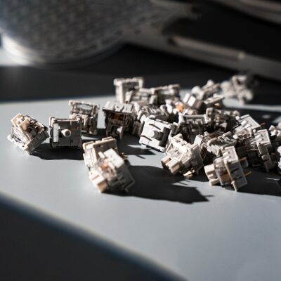 Aula Leobog GrayWood V3 Lineer Mekanik Switch 100 Adet - 7