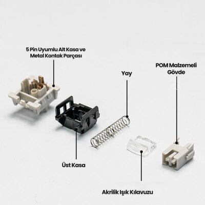 Aula Leobog GrayWood V4 Lineer Mekanik Switch 100 Adet - 4