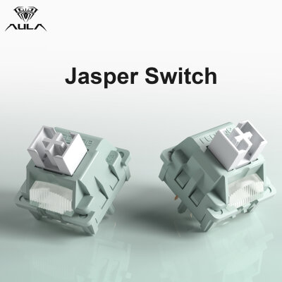 Aula Leobog Jasper Lineer Mekanik Switch 100 Adet - 2