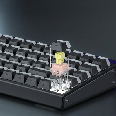 Aula Leobog Pink King Manyetik Switch 20 Adet - 6