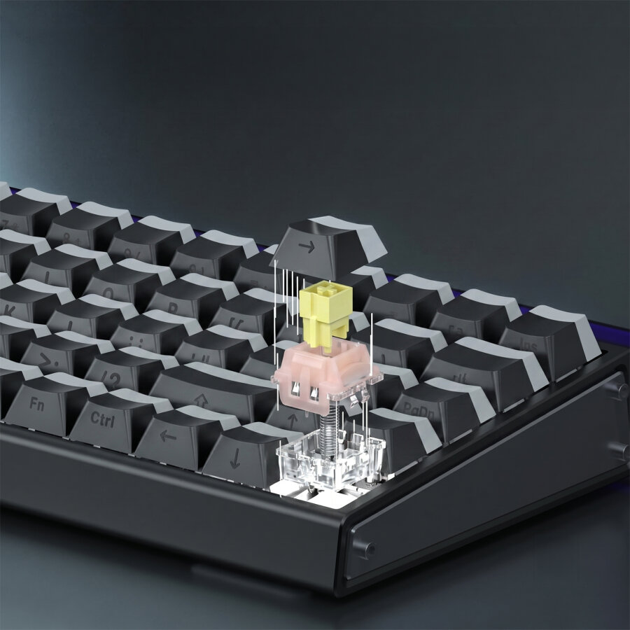 Aula Leobog Pink King Manyetik Switch 20 Adet - 6