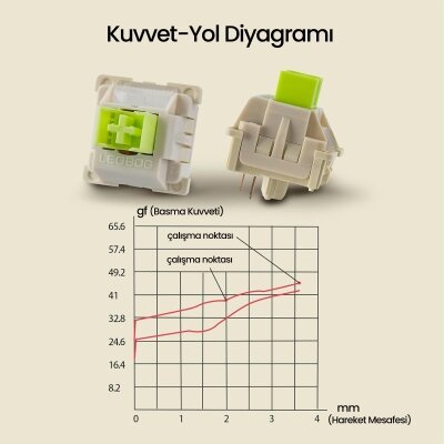 Aula Leobog Reaper Lineer Mekanik Switch 100 Adet - 5