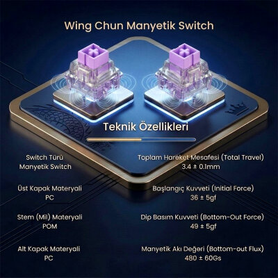 Aula Leobog Wing Chun Manyetik Switch 20 Adet - 2
